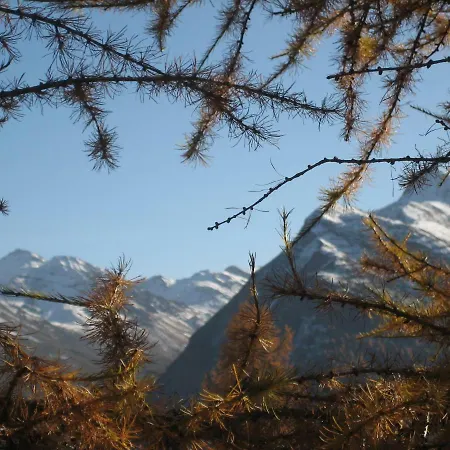 Ad-capellam * 카플